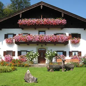 Haus Gollinger Apartment